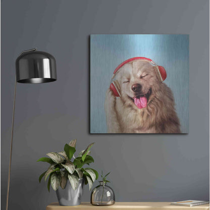 Luxe Metal Art 'Woof Jam' by Lucia Heffernan, Metal Wall Art,24x24