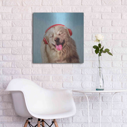 Luxe Metal Art 'Woof Jam' by Lucia Heffernan, Metal Wall Art,24x24