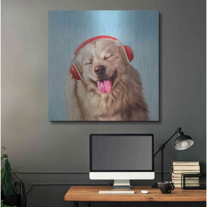 Luxe Metal Art 'Woof Jam' by Lucia Heffernan, Metal Wall Art,36x36