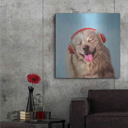 Luxe Metal Art 'Woof Jam' by Lucia Heffernan, Metal Wall Art,36x36