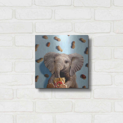 Luxe Metal Art 'Feeling Nutty' by Lucia Heffernan, Metal Wall Art,12x12