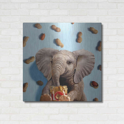 Luxe Metal Art 'Feeling Nutty' by Lucia Heffernan, Metal Wall Art,36x36