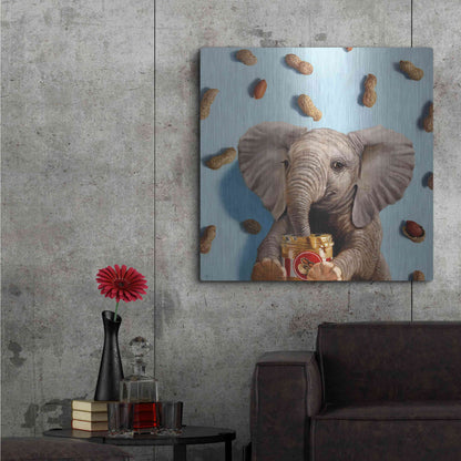 Luxe Metal Art 'Feeling Nutty' by Lucia Heffernan, Metal Wall Art,36x36