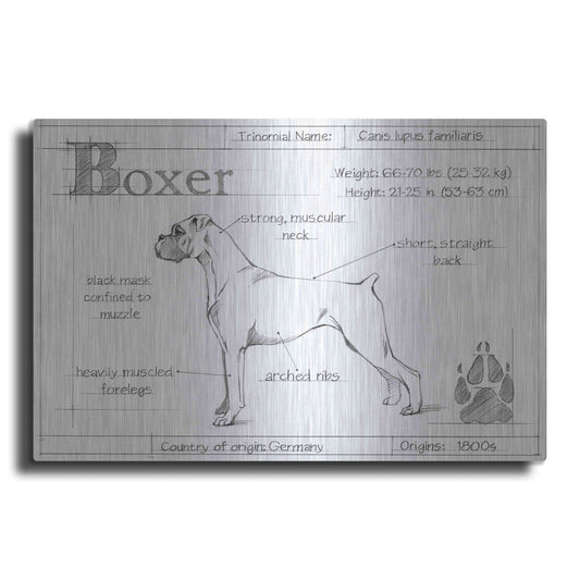 Luxe Metal Art 'Inverted Blueprint Boxer' by Ethan Harper, Metal Wall Art