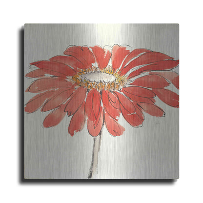 Luxe Metal Art 'Tangerine and Grey I v2' by Chris Paschke, Metal Wall Art