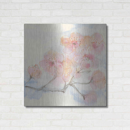 Luxe Metal Art 'Pink Blossoms III' by Chris Paschke, Metal Wall Art,36x36