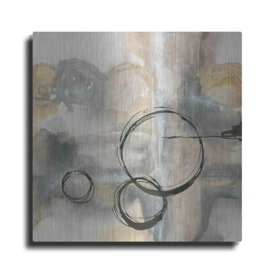 Luxe Metal Art 'Full Circle II' by Chris Paschke, Metal Wall Art