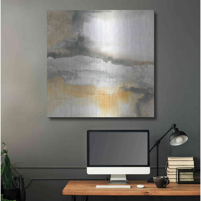 Luxe Metal Art 'Minerals I' by Chris Paschke, Metal Wall Art,36x36