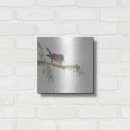 Luxe Metal Art 'Finch' by Chris Paschke, Metal Wall Art,12x12