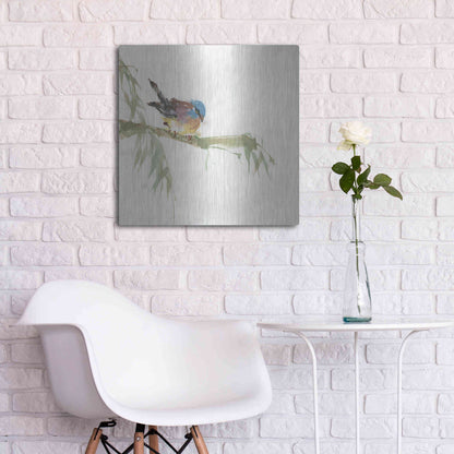 Luxe Metal Art 'Finch' by Chris Paschke, Metal Wall Art,24x24