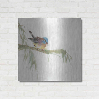 Luxe Metal Art 'Finch' by Chris Paschke, Metal Wall Art,36x36