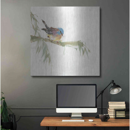 Luxe Metal Art 'Finch' by Chris Paschke, Metal Wall Art,36x36