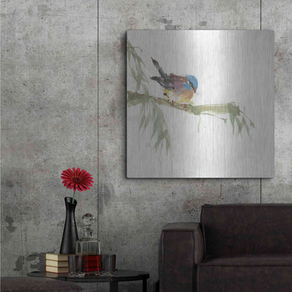 Luxe Metal Art 'Finch' by Chris Paschke, Metal Wall Art,36x36