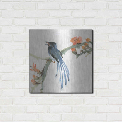 Luxe Metal Art 'Formosan Blue Magpie' by Chris Paschke, Metal Wall Art,24x24