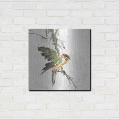 Luxe Metal Art 'Formosan Firecrest' by Chris Paschke, Metal Wall Art,24x24