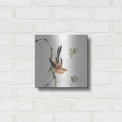 Luxe Metal Art 'Mountain Bush Warbler' by Chris Paschke, Metal Wall Art,12x12