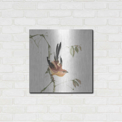 Luxe Metal Art 'Mountain Bush Warbler' by Chris Paschke, Metal Wall Art,24x24