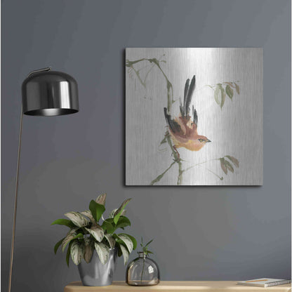 Luxe Metal Art 'Mountain Bush Warbler' by Chris Paschke, Metal Wall Art,24x24