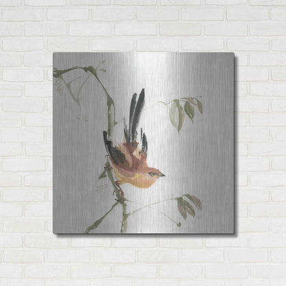 Luxe Metal Art 'Mountain Bush Warbler' by Chris Paschke, Metal Wall Art,36x36