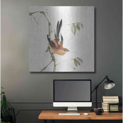 Luxe Metal Art 'Mountain Bush Warbler' by Chris Paschke, Metal Wall Art,36x36