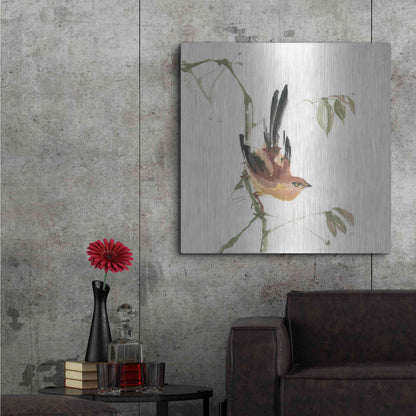 Luxe Metal Art 'Mountain Bush Warbler' by Chris Paschke, Metal Wall Art,36x36