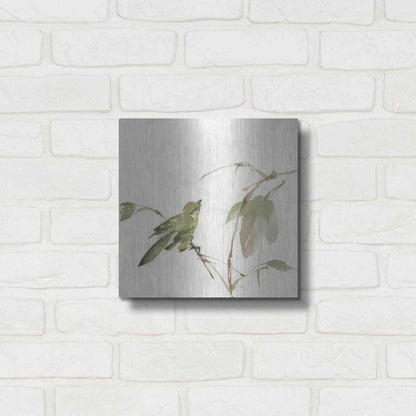 Luxe Metal Art 'Sisken' by Chris Paschke, Metal Wall Art,12x12