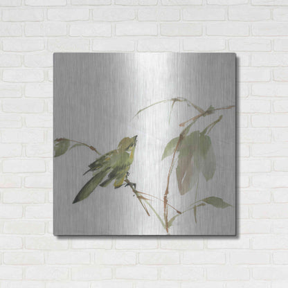 Luxe Metal Art 'Sisken' by Chris Paschke, Metal Wall Art,36x36