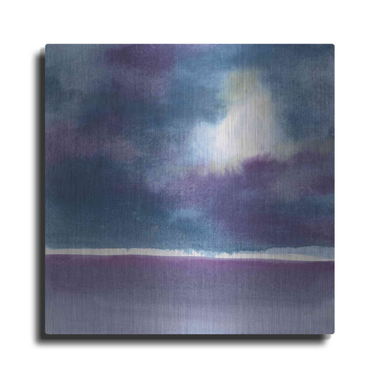 Luxe Metal Art 'The Clouds I' by Chris Paschke, Metal Wall Art