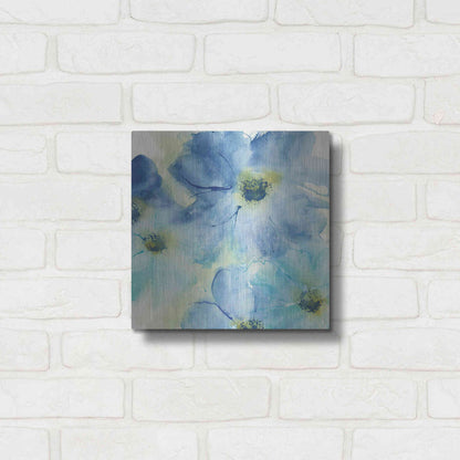 Luxe Metal Art 'Seashell Cosmos I' by Chris Paschke, Metal Wall Art,12x12