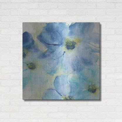 Luxe Metal Art 'Seashell Cosmos I' by Chris Paschke, Metal Wall Art,36x36