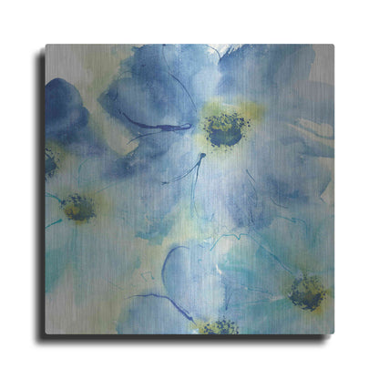 Luxe Metal Art 'Seashell Cosmos I' by Chris Paschke, Metal Wall Art