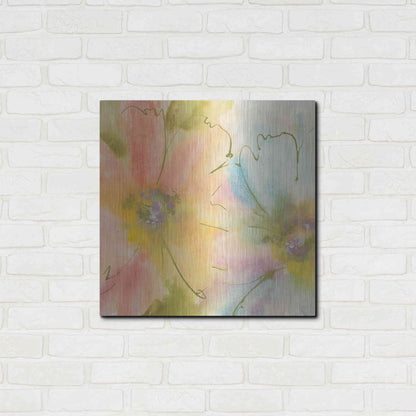 Luxe Metal Art 'Rainbow Cosmos I' by Chris Paschke, Metal Wall Art,24x24