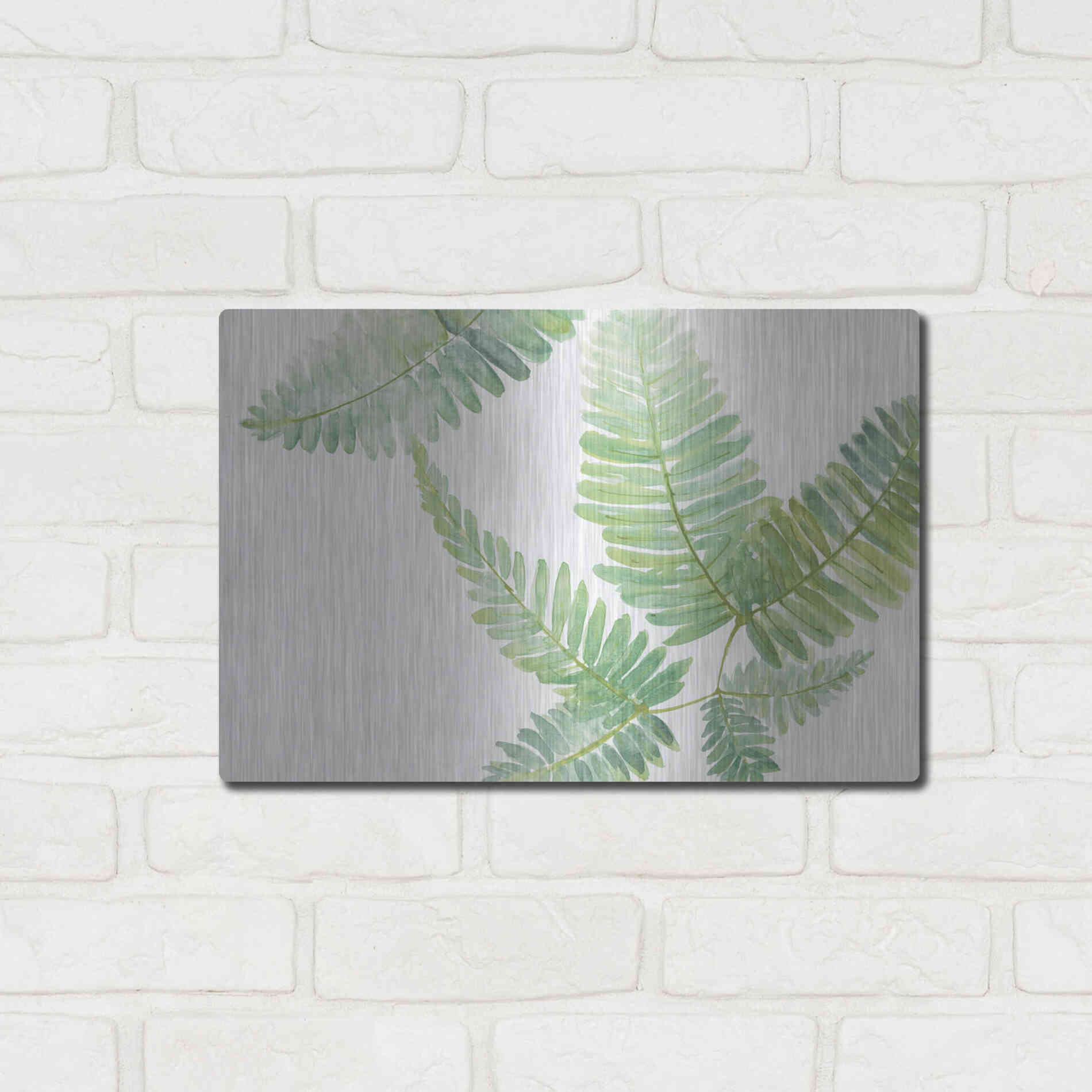 Luxe Metal Art 'Ferns II' by Chris Paschke, Metal Wall Art,16x12