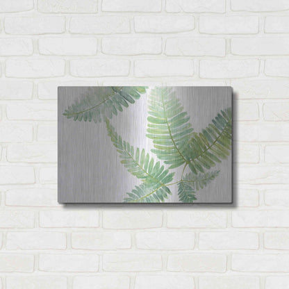 Luxe Metal Art 'Ferns II' by Chris Paschke, Metal Wall Art,24x16