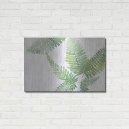 Luxe Metal Art 'Ferns II' by Chris Paschke, Metal Wall Art,36x24