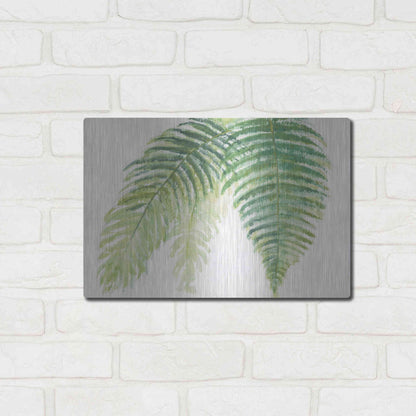 Luxe Metal Art 'Ferns III' by Chris Paschke, Metal Wall Art,16x12
