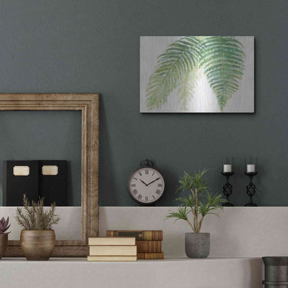 Luxe Metal Art 'Ferns III' by Chris Paschke, Metal Wall Art,16x12