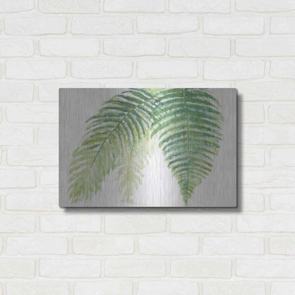 Luxe Metal Art 'Ferns III' by Chris Paschke, Metal Wall Art,24x16