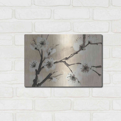 Luxe Metal Art 'Spring Blossoms II' by Chris Paschke, Metal Wall Art,16x12
