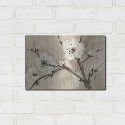 Luxe Metal Art 'Spring Blossoms III' by Chris Paschke, Metal Wall Art,16x12