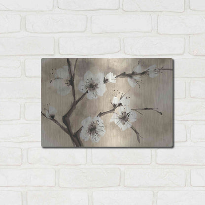 Luxe Metal Art 'Spring Blossoms IV' by Chris Paschke, Metal Wall Art,16x12