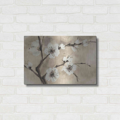Luxe Metal Art 'Spring Blossoms IV' by Chris Paschke, Metal Wall Art,24x16