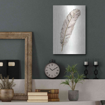 Luxe Metal Art 'Gold Feathers IX' by Chris Paschke, Metal Wall Art,12x16