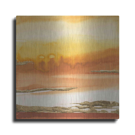 Luxe Metal Art 'Gilded Amber I' by Chris Paschke, Metal Wall Art