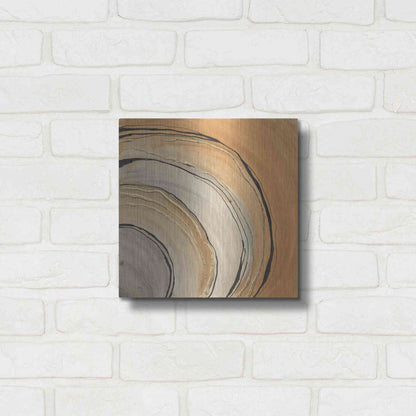 Luxe Metal Art 'Gilded Rings' by Chris Paschke, Metal Wall Art,12x12