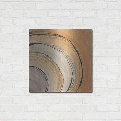 Luxe Metal Art 'Gilded Rings' by Chris Paschke, Metal Wall Art,24x24
