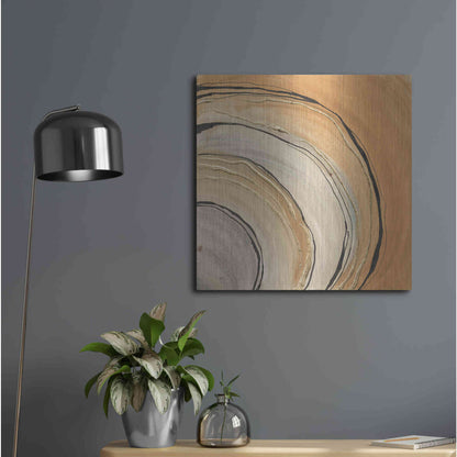 Luxe Metal Art 'Gilded Rings' by Chris Paschke, Metal Wall Art,24x24