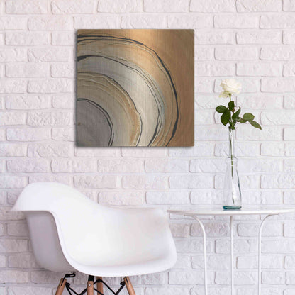 Luxe Metal Art 'Gilded Rings' by Chris Paschke, Metal Wall Art,24x24