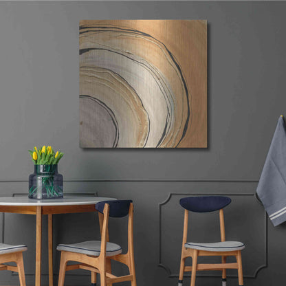 Luxe Metal Art 'Gilded Rings' by Chris Paschke, Metal Wall Art,36x36
