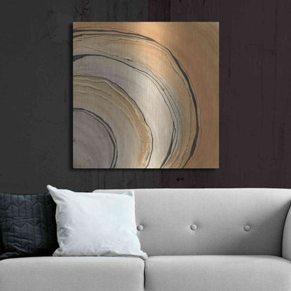 Luxe Metal Art 'Gilded Rings' by Chris Paschke, Metal Wall Art,36x36